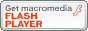 FLASH PLAYER�C���X�g�[��